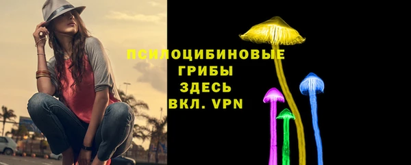 мет Козловка