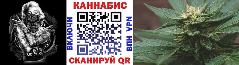 Канабис OG Kush  Купить где  Невель 